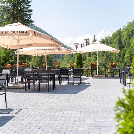 Piscul Negru Hotel - Transfagarasan Cumpana  ภายนอก รูปภาพ