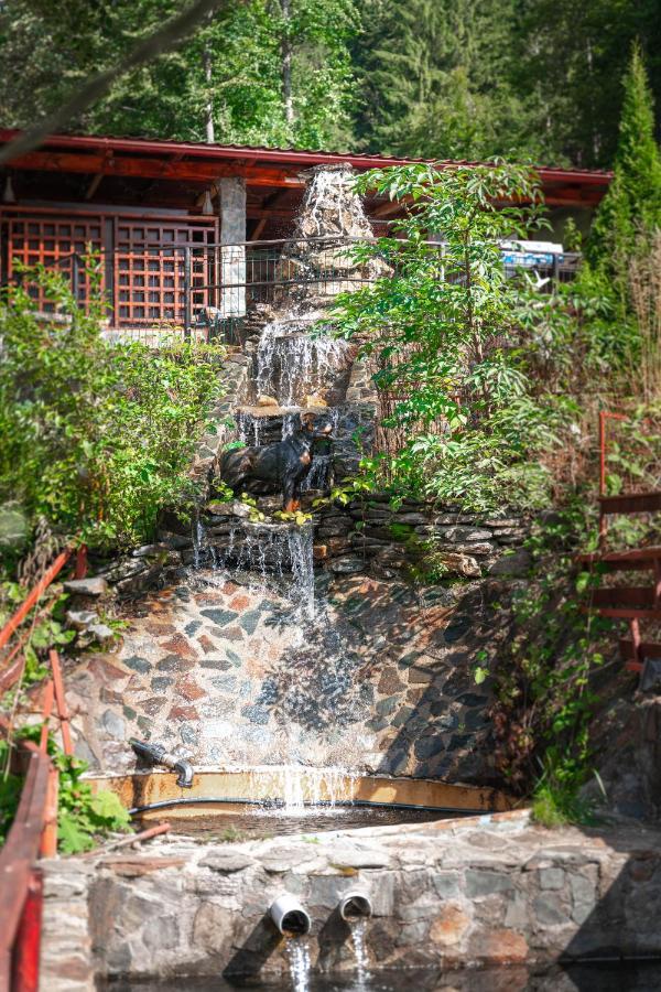 Piscul Negru Hotel - Transfagarasan Cumpana  ภายนอก รูปภาพ