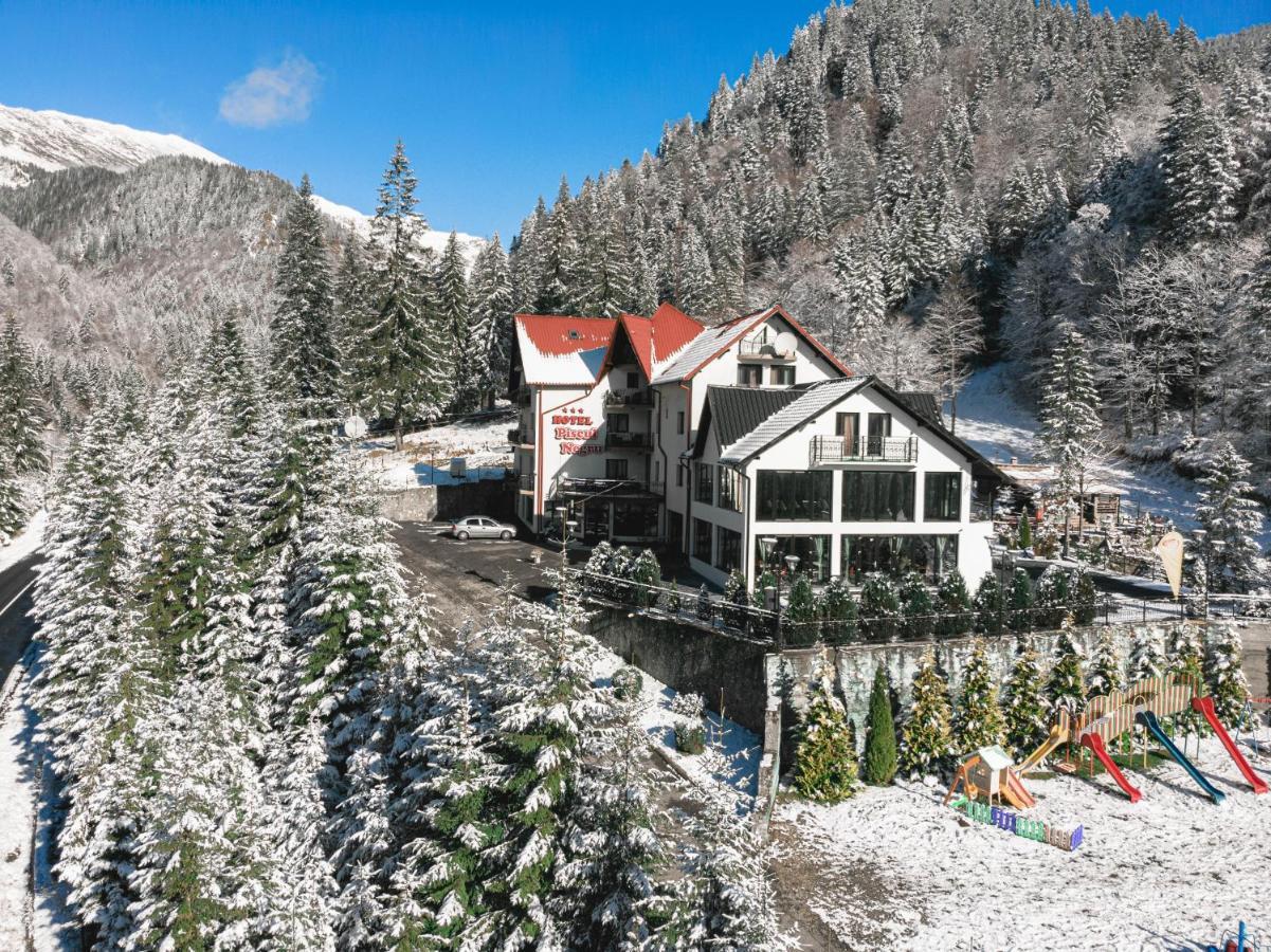 Piscul Negru Hotel - Transfagarasan Cumpana  ภายนอก รูปภาพ