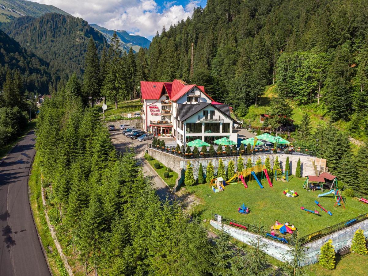 Piscul Negru Hotel - Transfagarasan Cumpana  ภายนอก รูปภาพ