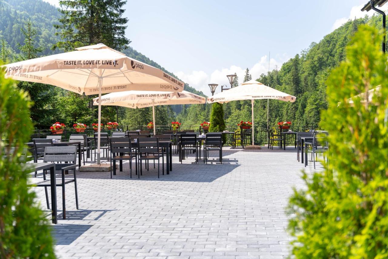 Piscul Negru Hotel - Transfagarasan Cumpana  ภายนอก รูปภาพ